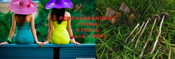 первитин Лиски