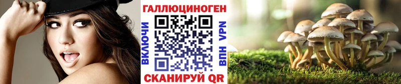 Псилоцибиновые грибы Psilocybine cubensis  Купить закладки  Калач-на-Дону 